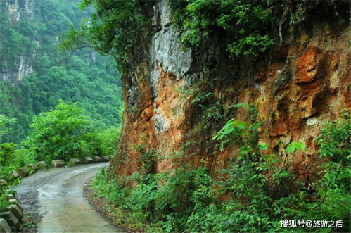 交通篇：比春运还刺激的死亡之旅