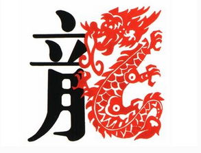 信息提供给声明