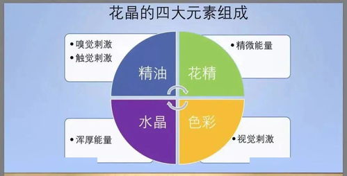 3. 自爱：情感维系**