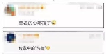 命名原则与选取要点——基于国学理论的系统阐释