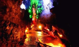 门票价格表：数字蹦极大赛