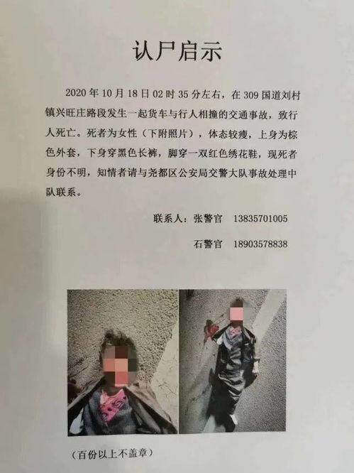 案例文本概述