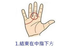 一、  感情线的基本概念及其在国学中的地位