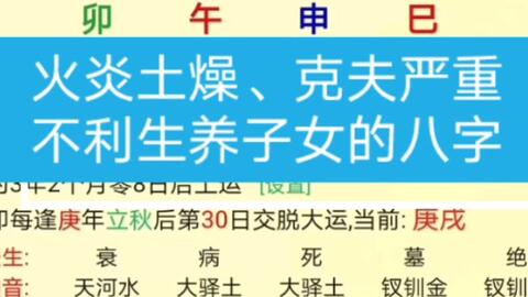八字命盘中比食是什么含义？官食比又代表什么？