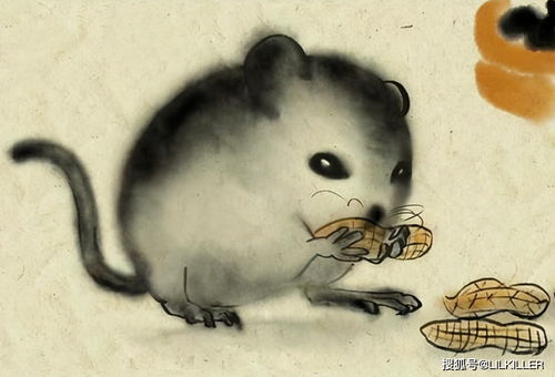 属鼠2026年财运如何，先拔头筹的财运表现具体是怎样的？