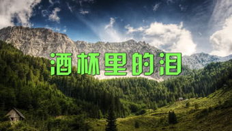 东阳：阳光开朗的小太阳