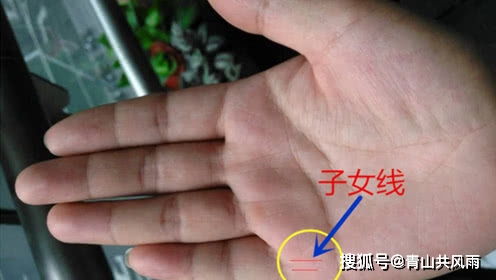 足部形态与行运根基的稳固