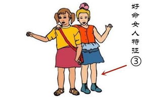 三、 核心体相特征及其象征意义