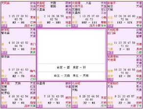 一、 紫微命盘之基本构成要素及其结构性意义