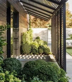 1. 形态多样性与景观层次构建