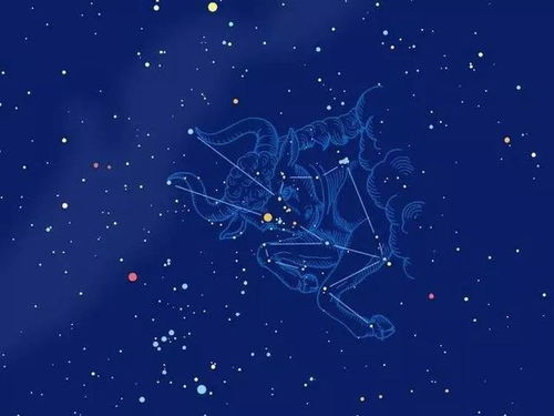 综合评价：值得深交之星座概览
