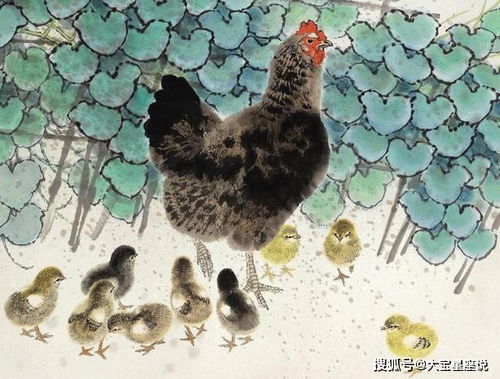鸡——细致入微塑造贴心形象