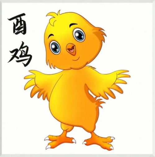 十二生肖中每种动物对应的花分别代表什么，这些花又象征着哪些吉祥寓意？