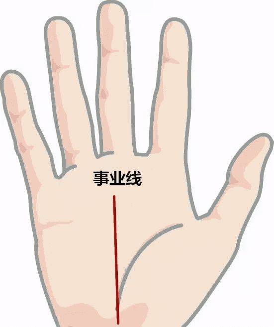 5. 手掌厚实度及弹性——活力与勤俭并存