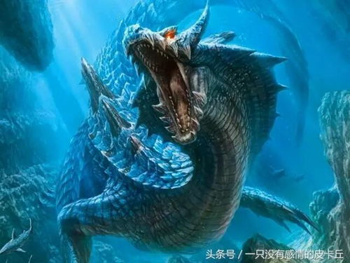 一、  属龙与水的完美结合：文化底蕴底蕴与生辰八字