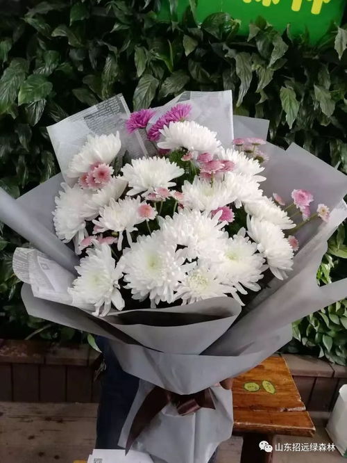 扫墓用什么花