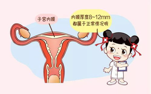 三、那到底更多更少个才算“合格”？——数字游戏时间段！