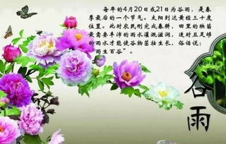 谷雨时节消灾纳吉驱百病的传统智慧与养生实践——基于历史记载与现代解读的综合分析