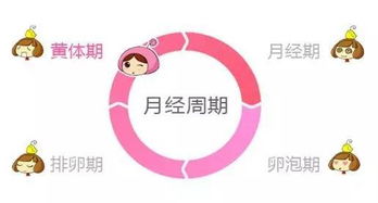 那么它们有哪些差别呢？