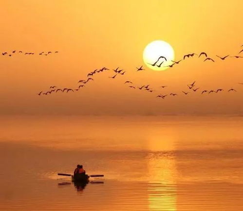 美好寓意：希望越大越好！（单是别太浮夸）