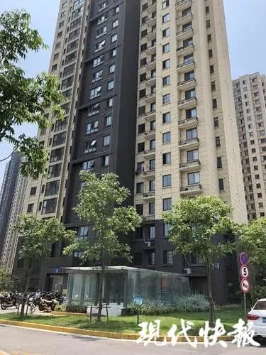 从“担心大叔”到“亡魂之诉”：社会关注与文化解读