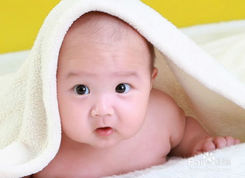 三、人文关怀视角:智慧持续发展路径设计