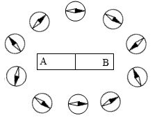 1. 日主极强与比劫成群