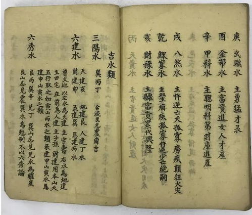 1. 案例分析：属马者之天魁天钺分布