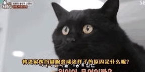 幼儿园的隐秘过往与悲剧记忆