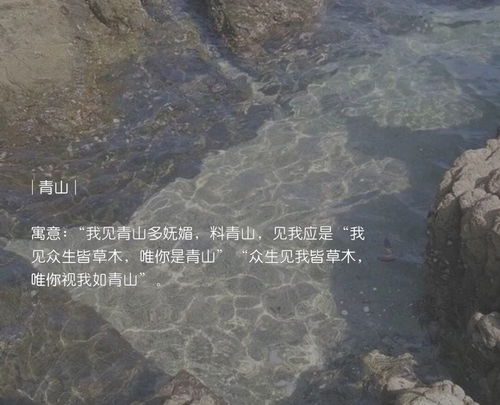 # 海岸线上的奇怪命名案例：