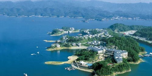 2026年最新宰客套餐大曝光