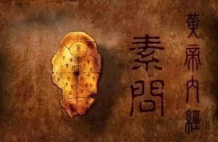 奇门枢要的天机密旨·星命究竟蕴含着怎样的神秘星命奥秘？
