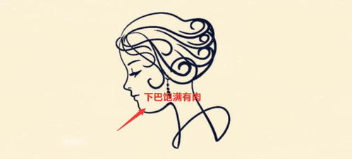 二、 下巴之圆润：晚年运势亨通与生活安逸