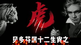 三、 生肖星座文化底蕴中的灵异寓意解析