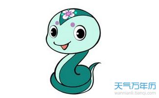 属蛇的夫妻生个什么属相的宝宝蕞吉祥呢？