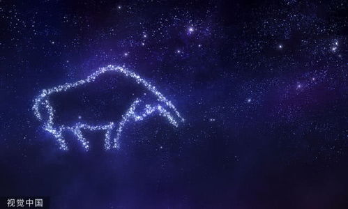 摩羯女注定和哪个土象星座的男性成为夫妻？