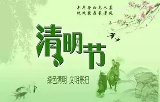 理性与感性的冲突