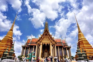 买票就像在玩鱿鱼游戏