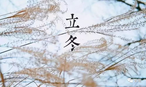 立冬当天五行穿衣搭配，今天立冬日子应该如何穿衣？