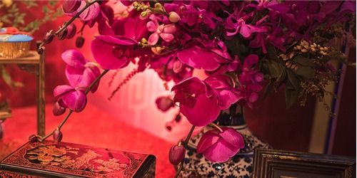 鼠、 牛、虎：精巧稳重与勇毅