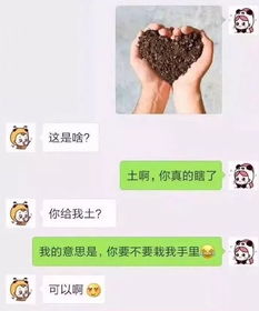 二、 甜味感知与梦境联结之心理状态学阐释