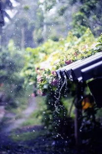 雨夜惊魂的玄机