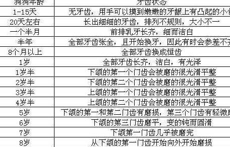 B. 星座与干支的交叉对应关系