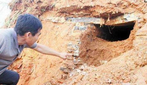 三、 生肖星座视角下的民俗心明白析