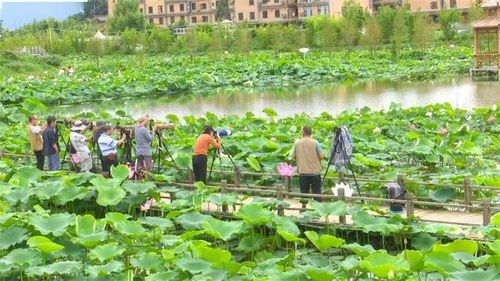 游客真实实案例：冲突与达成和解