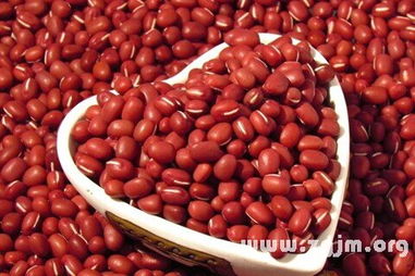 红豆梦境的奇妙物语，你敢信吗？