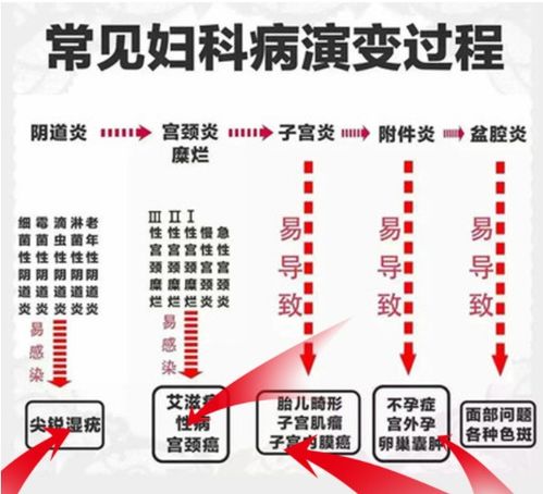 3. 操作步骤详解