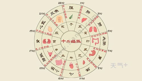 2.2 五行对应的人群建议