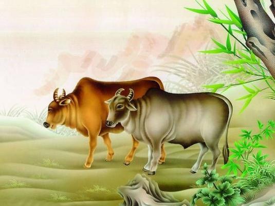 如日中天的生肖是什么？如日中天打一动物代表什么？