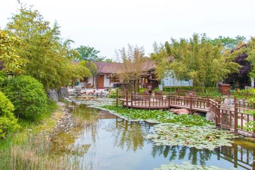 震惊！花都温泉价格崩盘！2026年黄历显示这天去要发财！